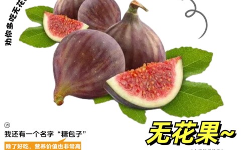 指甲花的功效与作用可以治灰指甲吗-【指甲花的功效与作用及食用方法】指甲花的功效与作用 - 指甲花的功效与作用网